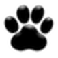 Dog Paw